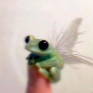 Meet your Posher, Mayfliy